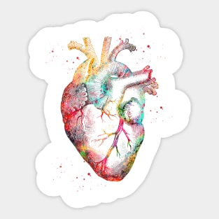 Human Heart Sticker
